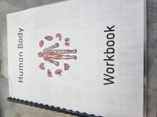 Human body workbook teaching - human, workbook,