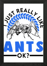 Ants Ant Farm Anthill Fire