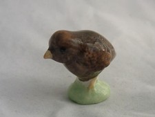 Wade WHIMSIE BROWN CHICK