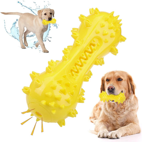 Floating dog water - water, toys