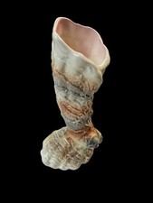 Vintage SYLVAC Vase CORNUCOPIA SHELL / HORN 17cm 3329