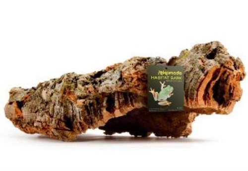 Komodo reptile habitat - habitat, bark