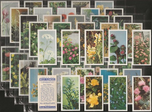 Brooke bond full set - brooke,