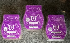 Scentsy ~ FOLLOW THE RAINBOW ~