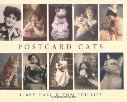 Postcard cats hall - cats:,