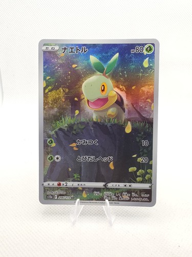 Pokemon turtwig 206 172 - pokemon, 206/172