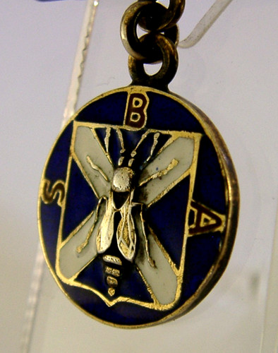 Rare sterling silver enamel - silver,