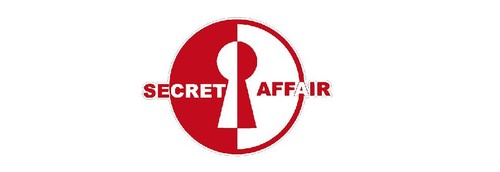 Secret affair vinyl sticker - secret,