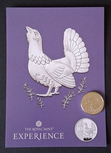 2026 brilliant uncirculated - brilliant,