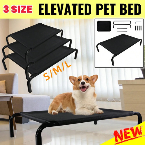 High raised dog - dog, elevated