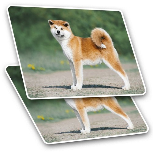 Rectangle stickers 5 cm - rectangle, 7.5
