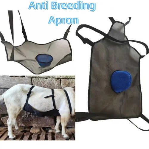Livestock anti breeding apron - livestock,