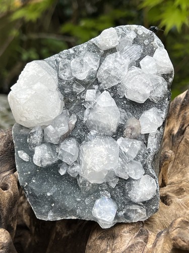 Diamond apophyllite crystals - diamond,