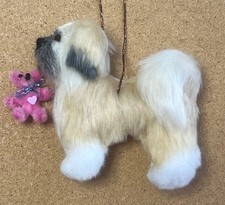 LHASA APSO / SHIH TZU with