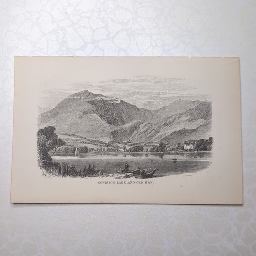 Original 1870 engraving - original,