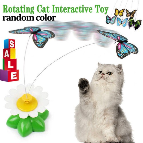 Pet electric rotating - electric,