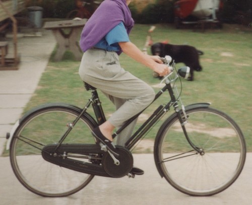 Ladies vintage raleigh - vintage,