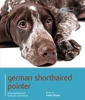 German shorthaired pointer - german,