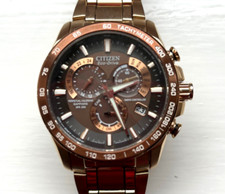 Citizen Radio Controlled Eco Drive Perpetual Chronograph WR200 Watch