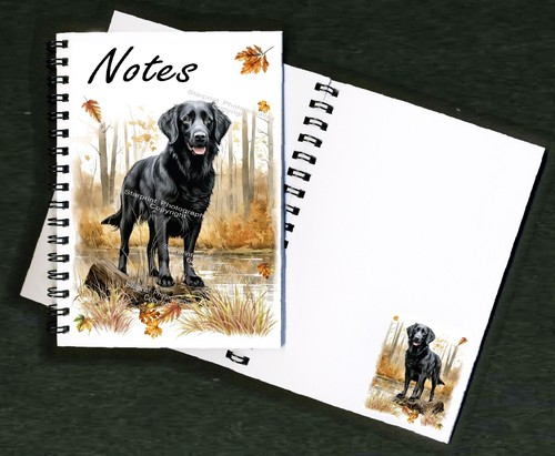 Flatcoated retriever dog - flatcoated,
