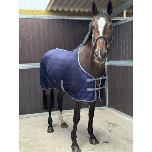 Anti sweat cooler rugs - cooler,