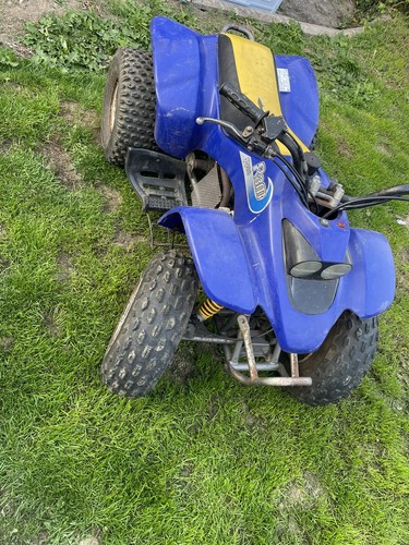 Quad bikes ram 100 - x, &