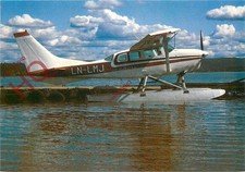 Picture Postcard::GOFJELDFLY