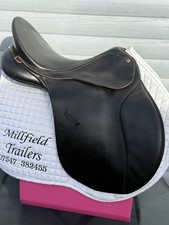 16.5 Brown Bates Caprilli