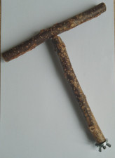 *T-SHAPED BRANCH/PERCH.  HAZEL.  HANDCRAFTED.  BUDGIES.  COCKATIELS.  BIRDS.
