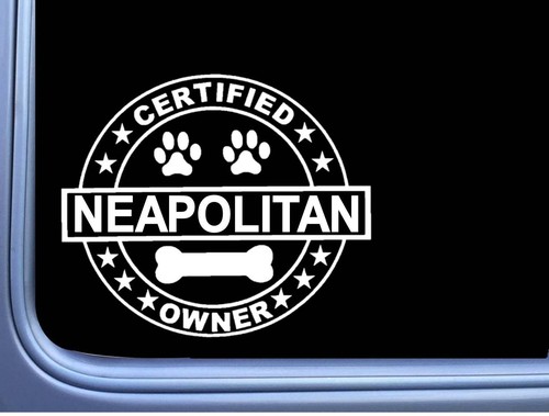 Certified neapolitan mastiff - certified,