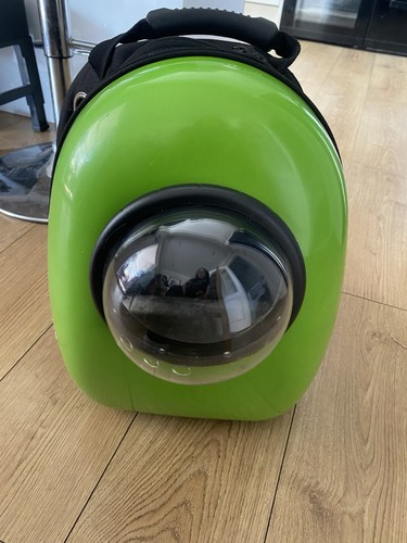 Parrot bird pet carrier - bird, /