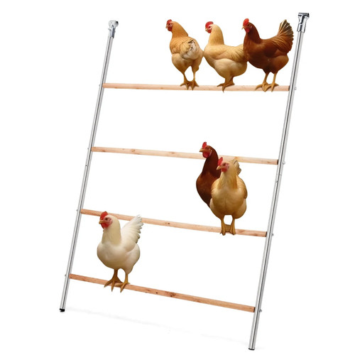 104 143cm outdoor chicken - outdoor,