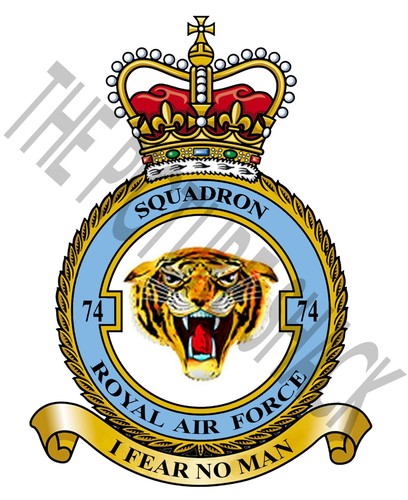 Raf squadron badge metal - 74,