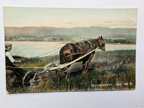 Old postcard rural farming - postcard,