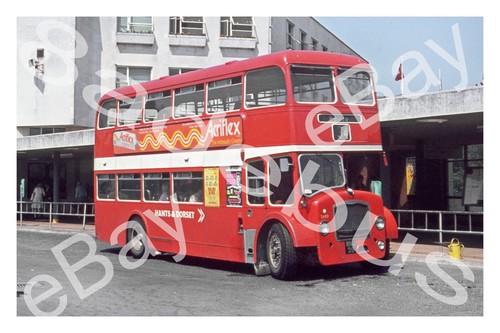 Bus photograph hants dorset - photograph,