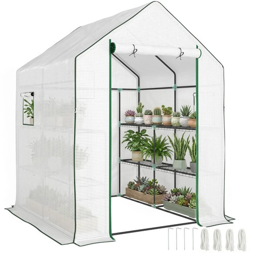 Walk greenhouse with - walk-in,