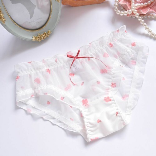 Womens chiffon sheer panties - womens,