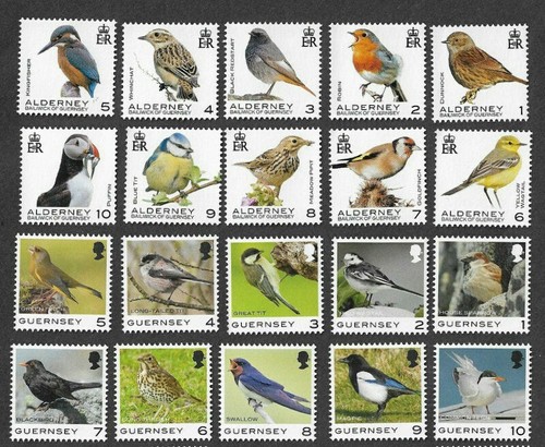 Birds alderney and guernsey - and,