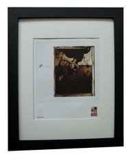 THE PIXIES+Surfer
