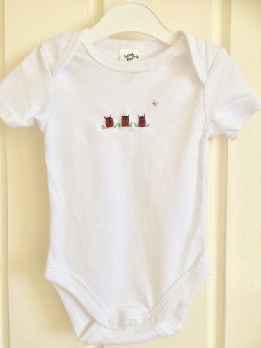 Hand embroidered ladybug - hand,