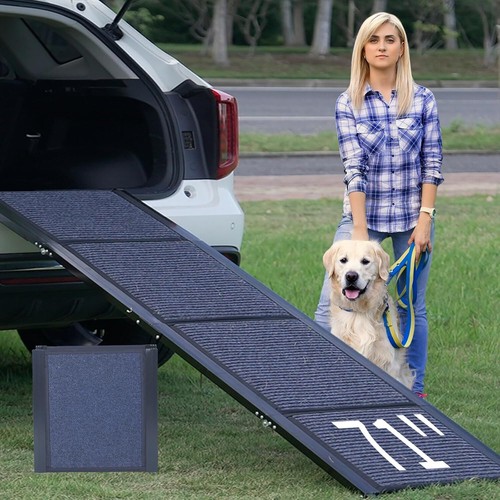 Slsy lx20 dog - dog, for