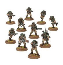 Warhammer 40k Cadian Shock