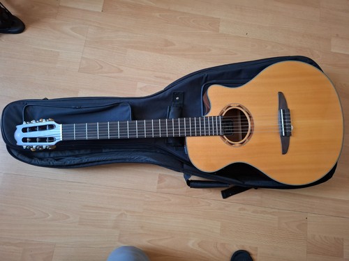 Yamaha ntx700 and gig bag - gig,