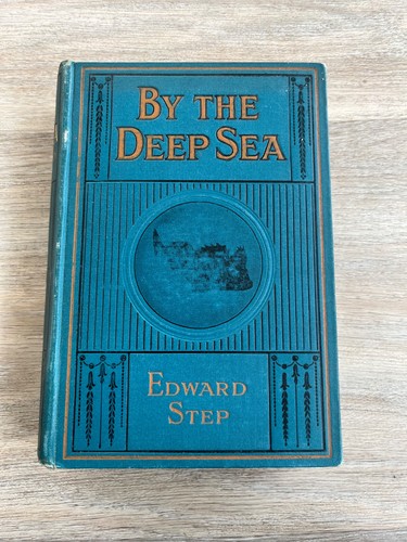 The deep sea - sea,