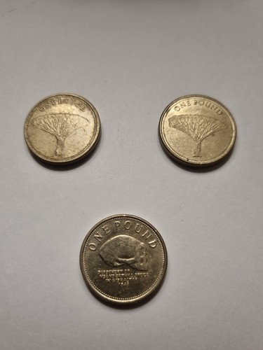 Royal mint gibraltar - gibraltar, £1