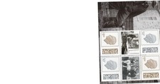 Cy7 2024 winston - cy7,