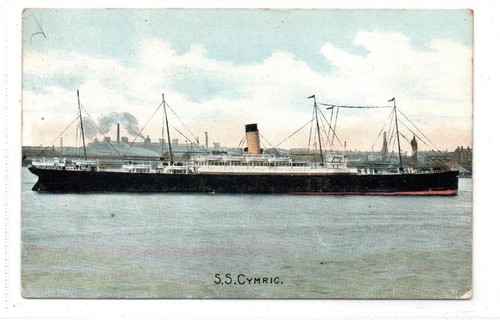 Cymric white star line - cymric:,