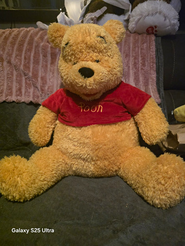 Disney winnie the pooh - pooh, large