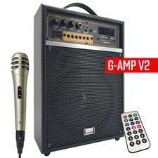 300W Rechargeable Guitar