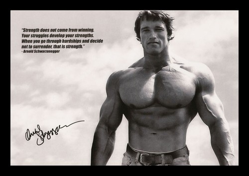 Arnold schwarzenegger - arnold,